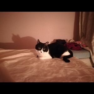 Meet your Posher, Selina